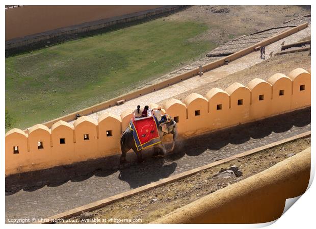 Elephant taxi service Amber Fort, India.  Print by Chris North