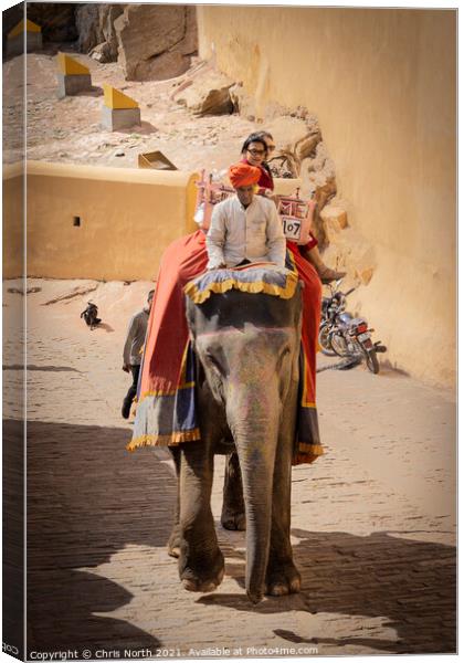 Elephant taxi at the Amber Fort, Rajasthan, India. Canvas Print by Chris North