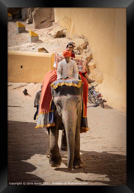 Elephant taxi at the Amber Fort, Rajasthan, India. Framed Print by Chris North