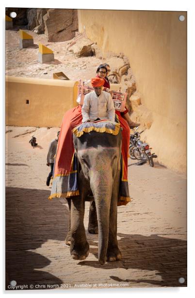 Elephant taxi at the Amber Fort, Rajasthan, India. Acrylic by Chris North