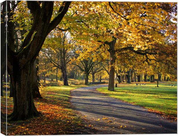 November in the park Canvas Print by David McCulloch