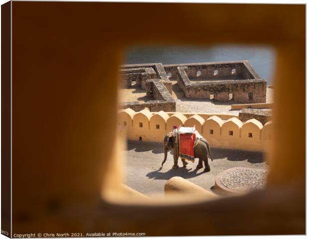 Elephant descending from the Amber Fort Canvas Print by Chris North
