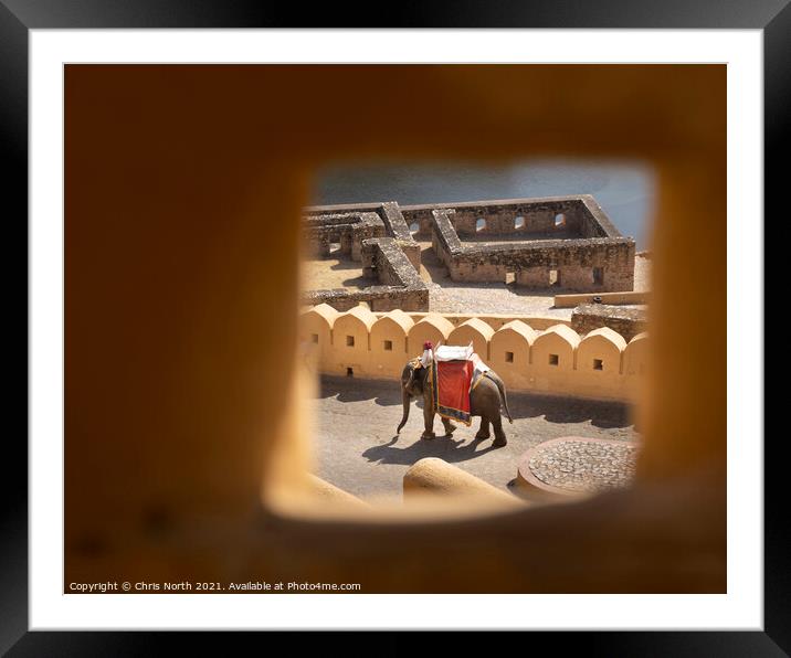 Elephant descending from the Amber Fort Framed Mounted Print by Chris North