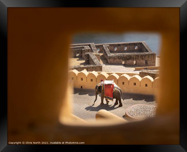 Elephant descending from the Amber Fort Framed Print by Chris North