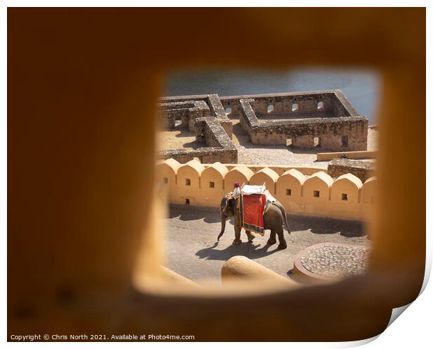Elephant descending from the Amber Fort Print by Chris North