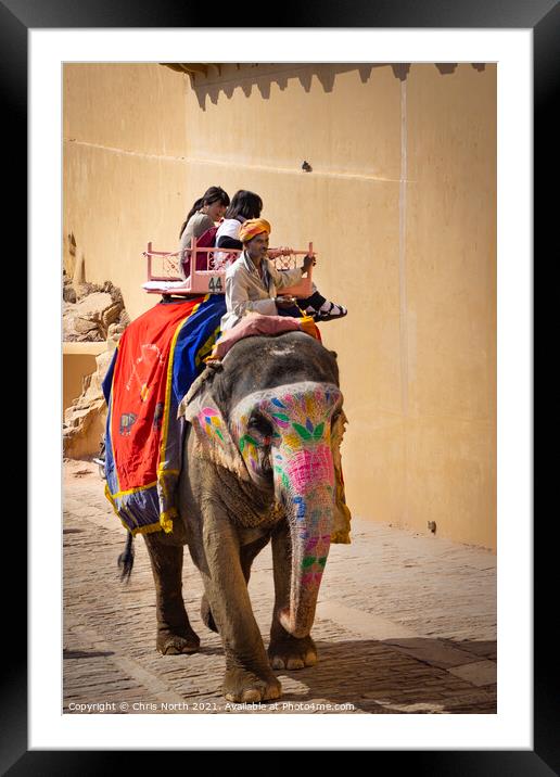 Elephant at the Amber palace, Rajasthan, India. Framed Mounted Print by Chris North