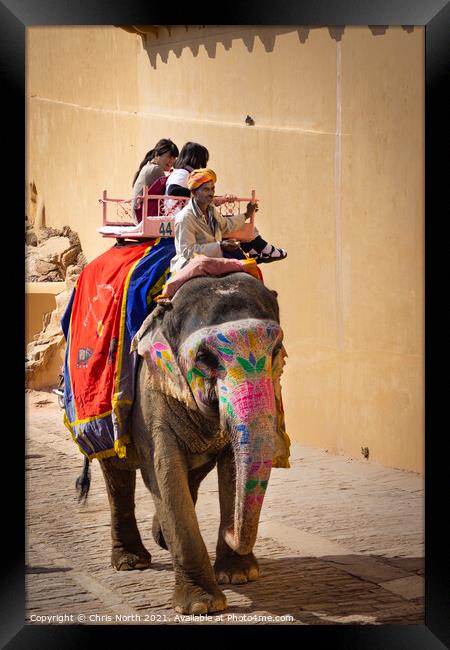 Elephant at the Amber palace, Rajasthan, India. Framed Print by Chris North