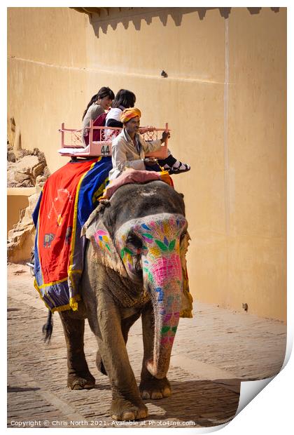 Elephant at the Amber palace, Rajasthan, India. Print by Chris North