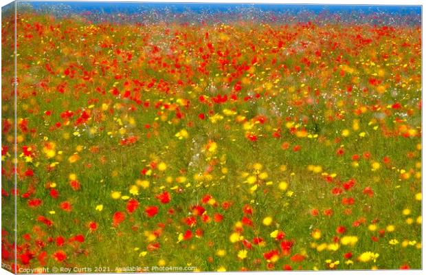 Poppies and Corn Marigolds Canvas Print by Roy Curtis
