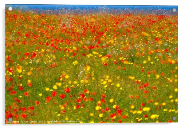 Poppies and Corn Marigolds Acrylic by Roy Curtis