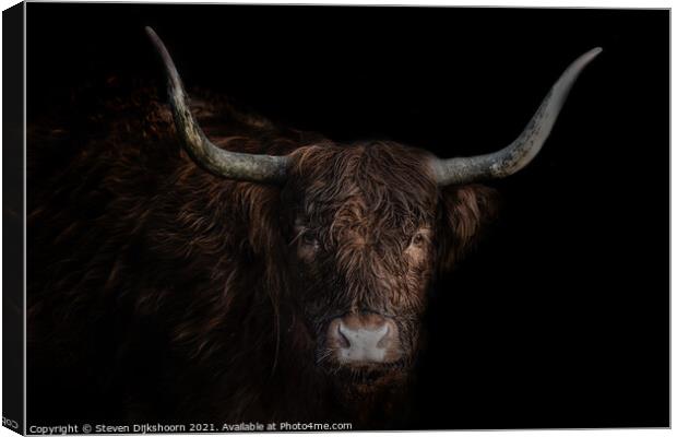 Highland cow portrait Canvas Print by Steven Dijkshoorn
