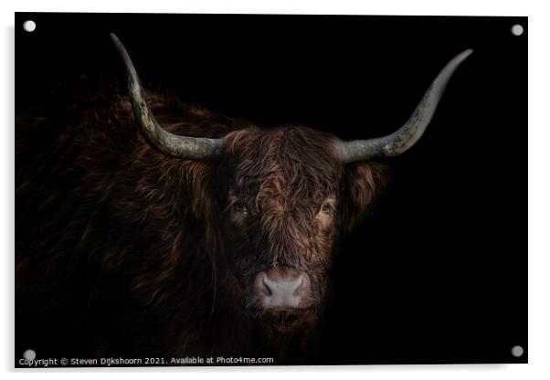 Highland cow portrait Acrylic by Steven Dijkshoorn