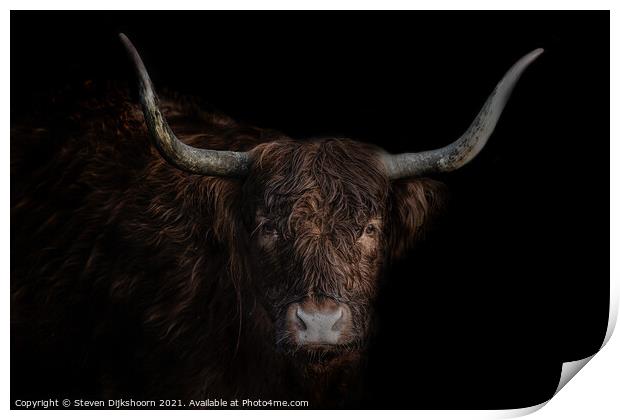 Highland cow portrait Print by Steven Dijkshoorn