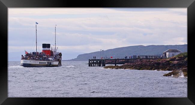 PS Waverley docking at Millport Framed Print by Allan Durward Photography