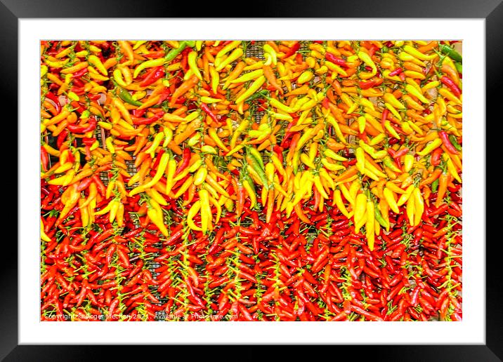 Bright and Spicy Peppers Framed Mounted Print by Roger Mechan