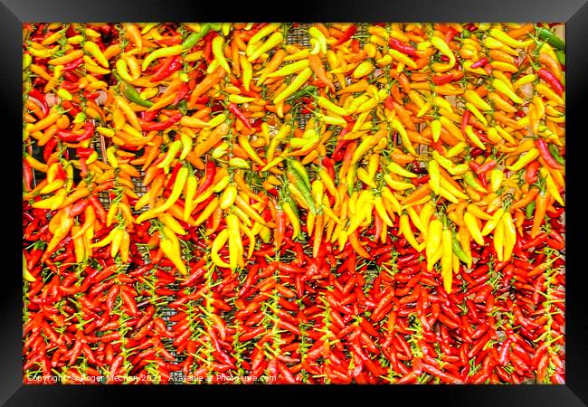 Bright and Spicy Peppers Framed Print by Roger Mechan