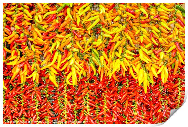 Bright and Spicy Peppers Print by Roger Mechan