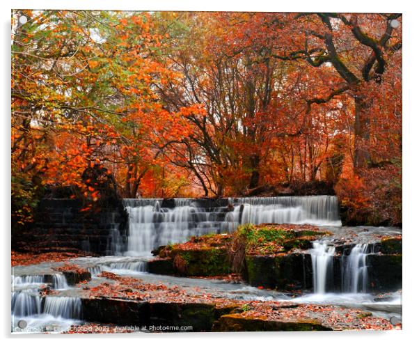 Beautiful Autumn Waterfall Acrylic by Les Schofield