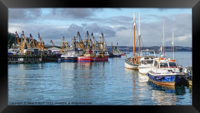 Brixham Boxing Day 2021 Framed Print by Peter F Hunt