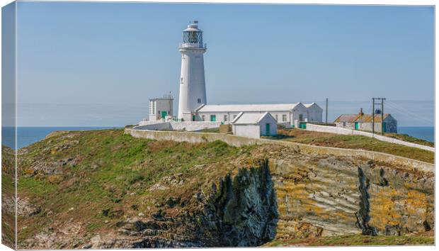 South Stack Canvas Print by Mark Godden