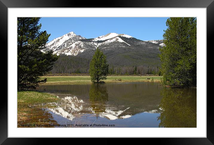 Rocky Mountain National Park Framed Mounted Print by Nataliya Dubrovskaya