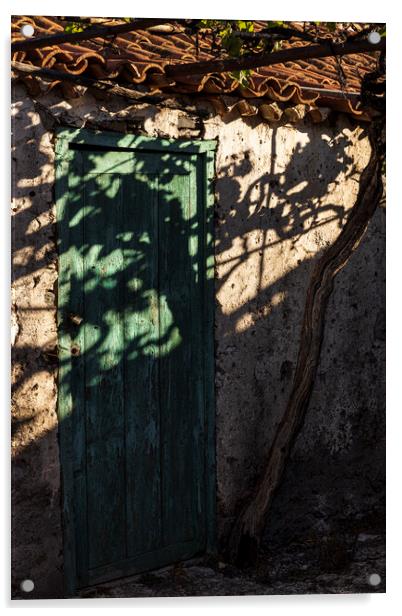 Vine shadow over rustic building Tenerife Acrylic by Phil Crean