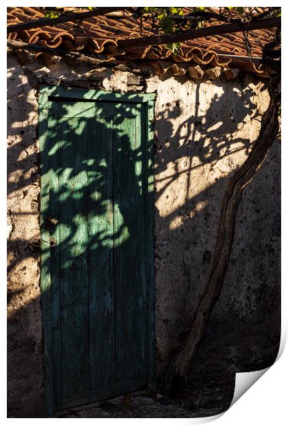 Vine shadow over rustic building Tenerife Print by Phil Crean