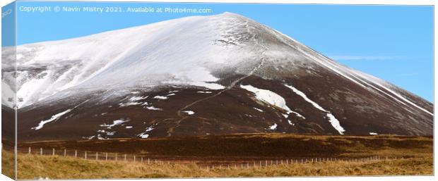 A view of Càrn Liath (Munro 975m)  Canvas Print by Navin Mistry