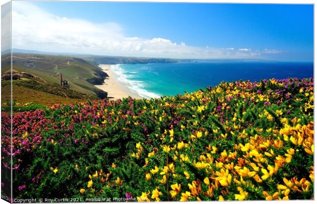 View to Wheal Coates over Gorse and Heather. Canvas Print by Roy Curtis