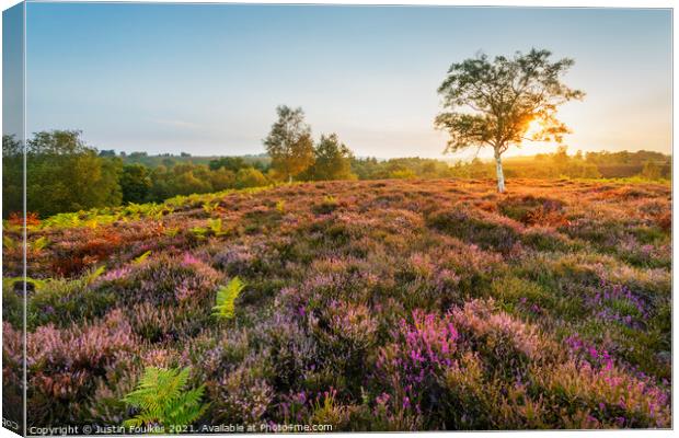 Late summer sunrise, New Forest National Park Canvas Print by Justin Foulkes