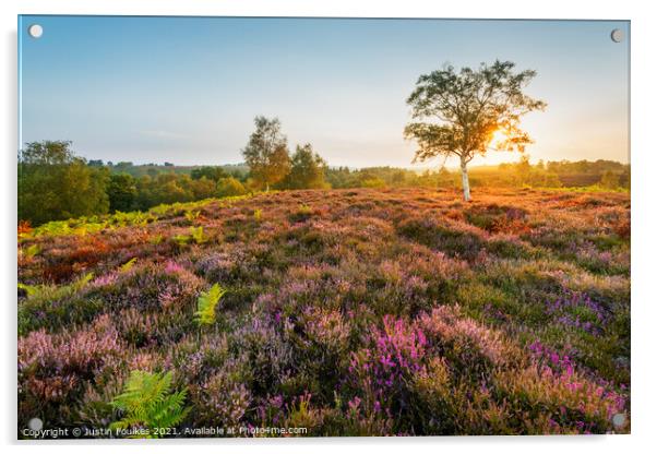 Late summer sunrise, New Forest National Park Acrylic by Justin Foulkes