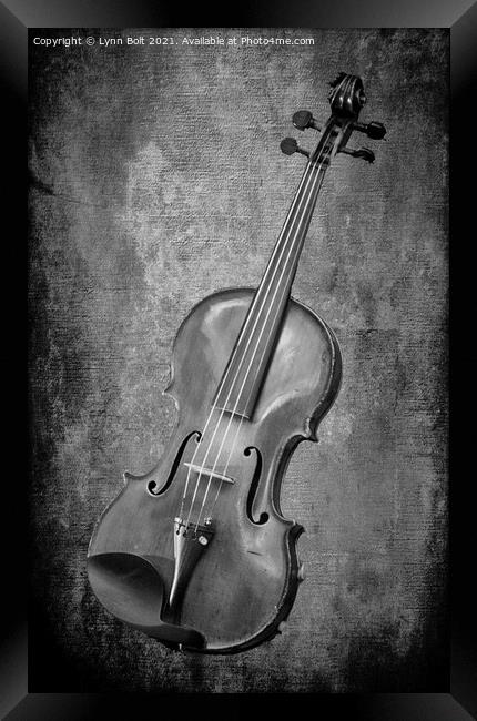 Violin Study in Black and White Framed Print by Lynn Bolt