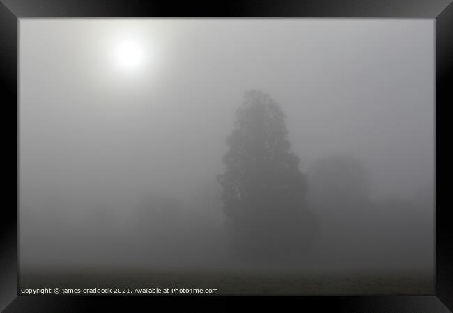 Foggy Morning Framed Print by james craddock