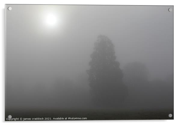 Foggy Morning Acrylic by james craddock