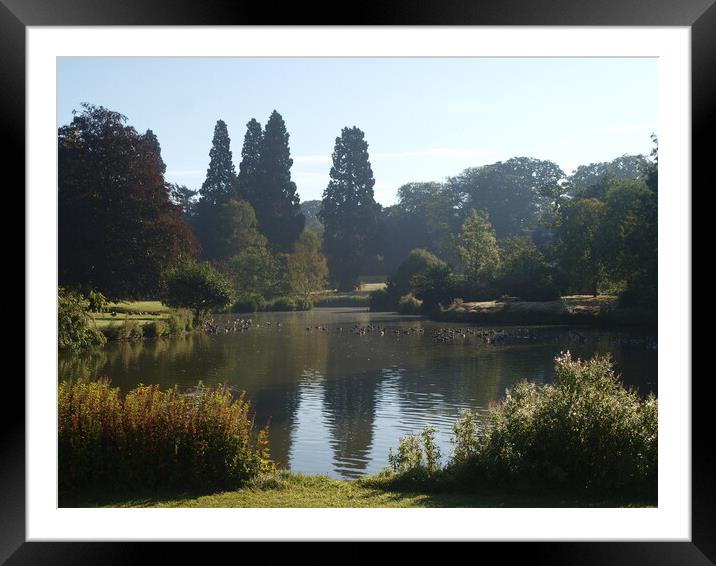The Lake Framed Mounted Print by Simon Hill