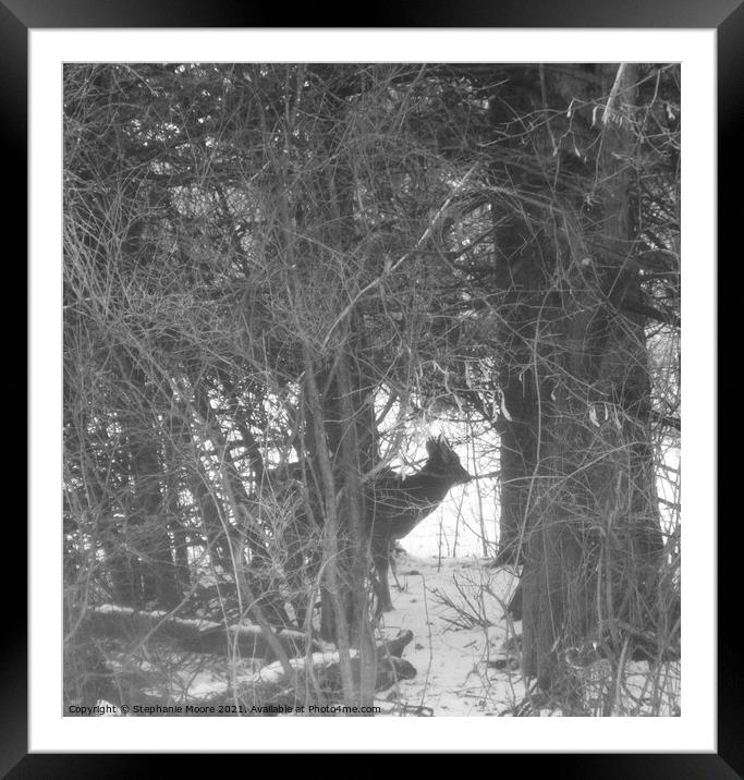 Deer in the woods Framed Mounted Print by Stephanie Moore