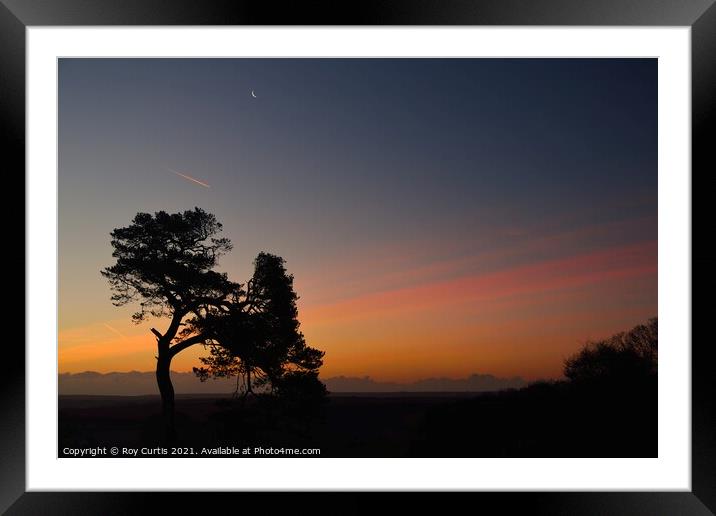 South Hams Dawn. Framed Mounted Print by Roy Curtis