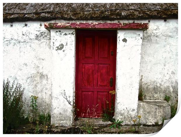 Abandoned Cottage door Print by Stephanie Moore