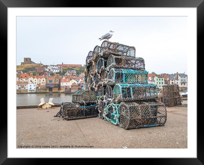 Fishing pots in Whitby Harbour Framed Mounted Print by Chris Yaxley