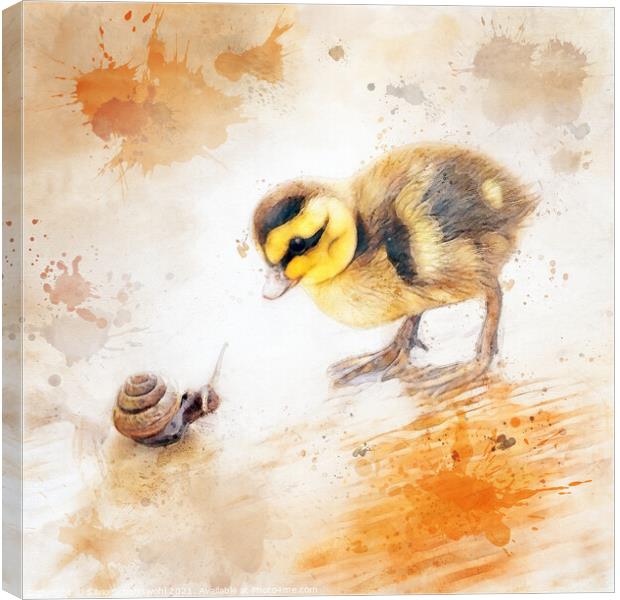 baby chicken Canvas Print by Silvio Schoisswohl