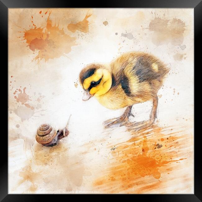 baby chicken Framed Print by Silvio Schoisswohl