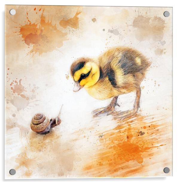 baby chicken Acrylic by Silvio Schoisswohl