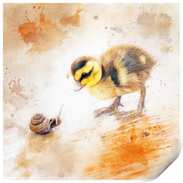 baby chicken Print by Silvio Schoisswohl