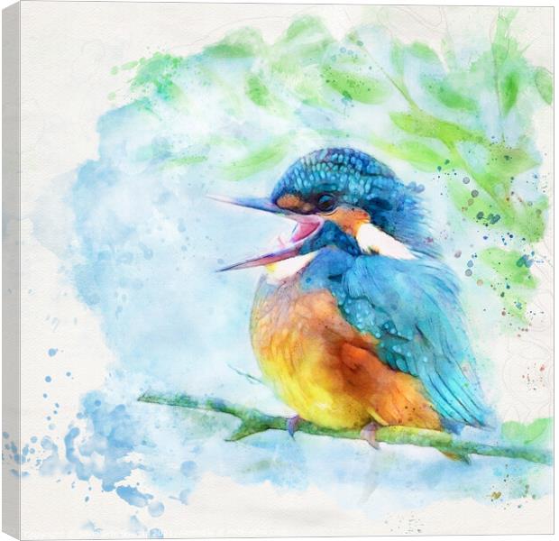 Happy kingfisher Canvas Print by Silvio Schoisswohl