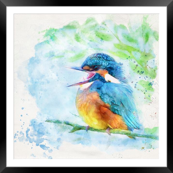 Happy kingfisher Framed Mounted Print by Silvio Schoisswohl