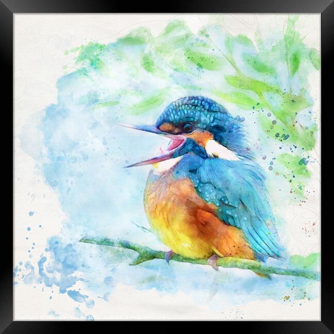 Happy kingfisher Framed Print by Silvio Schoisswohl