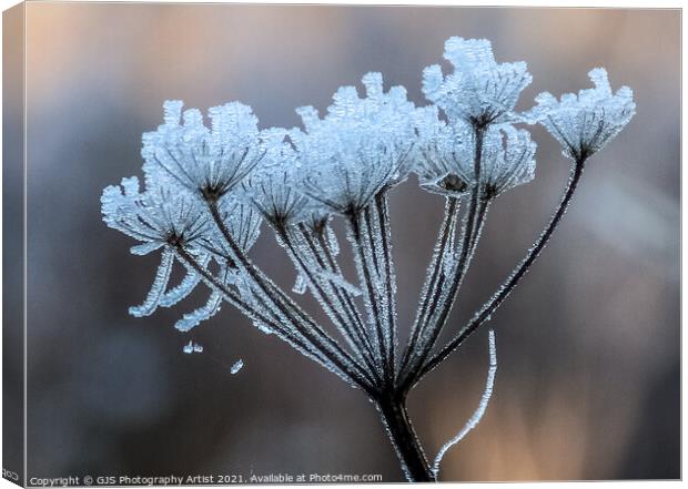 Pretty Frost Canvas Print by GJS Photography Artist