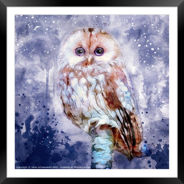Cute Owl Framed Mounted Print by Silvio Schoisswohl