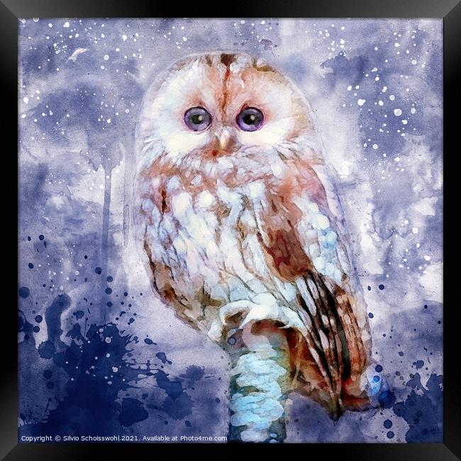 Cute Owl Framed Print by Silvio Schoisswohl