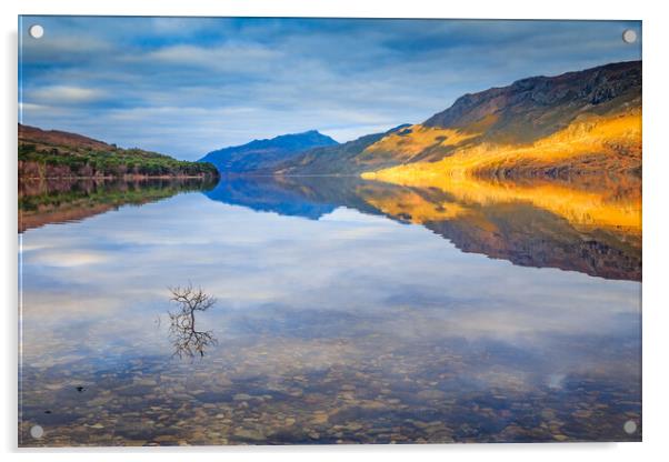 Loch Maree reflections Acrylic by John Frid